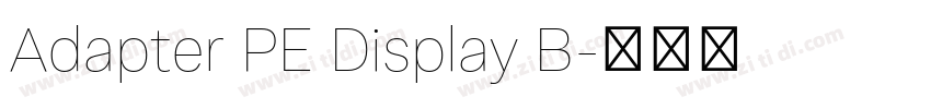 Adapter PE Display B字体转换